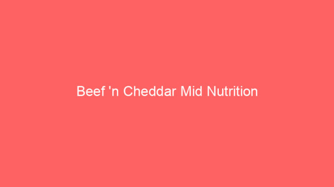 Beef 'n Cheddar Mid Nutrition